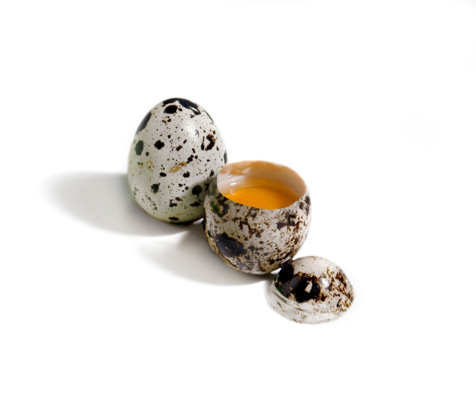 IBILI - Vaktelägg sax