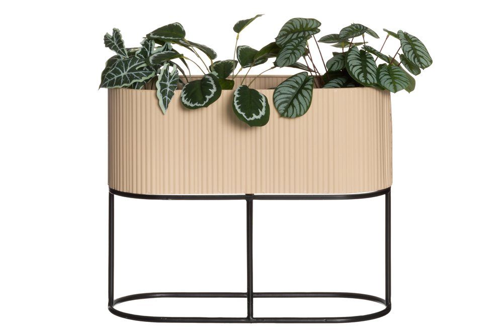 Blomsterställ Eden oval beige