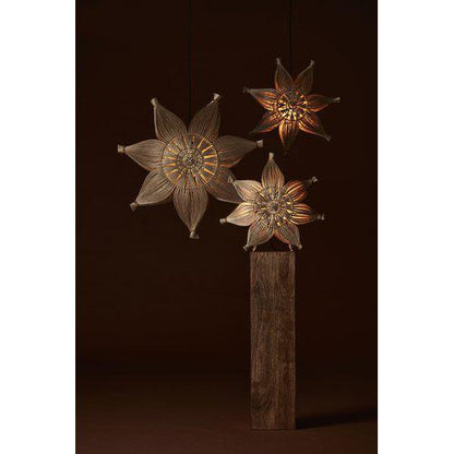 Agnes star Natur