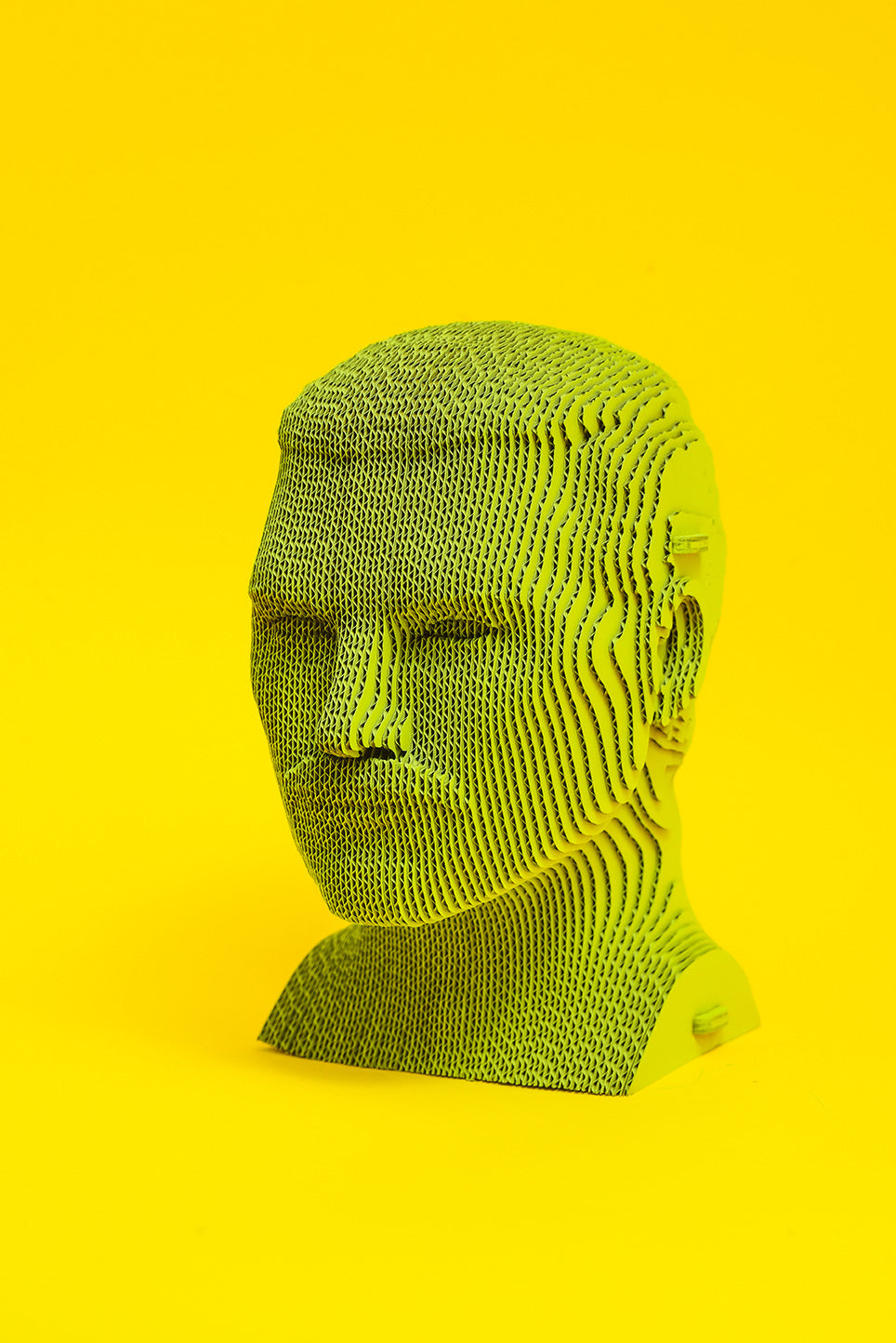 *Cartonic 3D Pussel FREDDIE