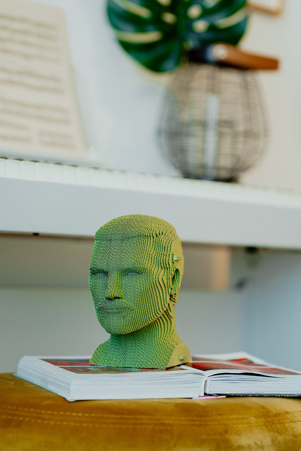 *Cartonic 3D Pussel FREDDIE